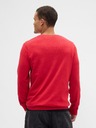 GAP Herren-Oversize-Pullover GAP