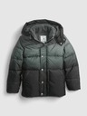 GAP Kinder Winter-Steppjacke GAP