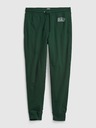 GAP Sweatpants jogger GAP