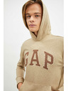 GAP Hoodie Logo GAP