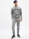 GAP Herren Sweatpants mit Fleece und Logo GAP