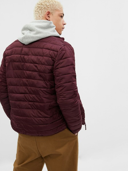 GAP Steppjacke ColdControl GAP