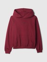 GAP Vintage Soft Sweatshirt GAP