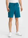 GAP Shorts GAP Logo Arch