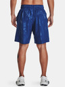 Under Armour Herren Shorts Under Armour UA Woven Emboss Short