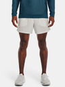 Under Armour Herren-Shorts Under Armour UA Run Anywhere Short