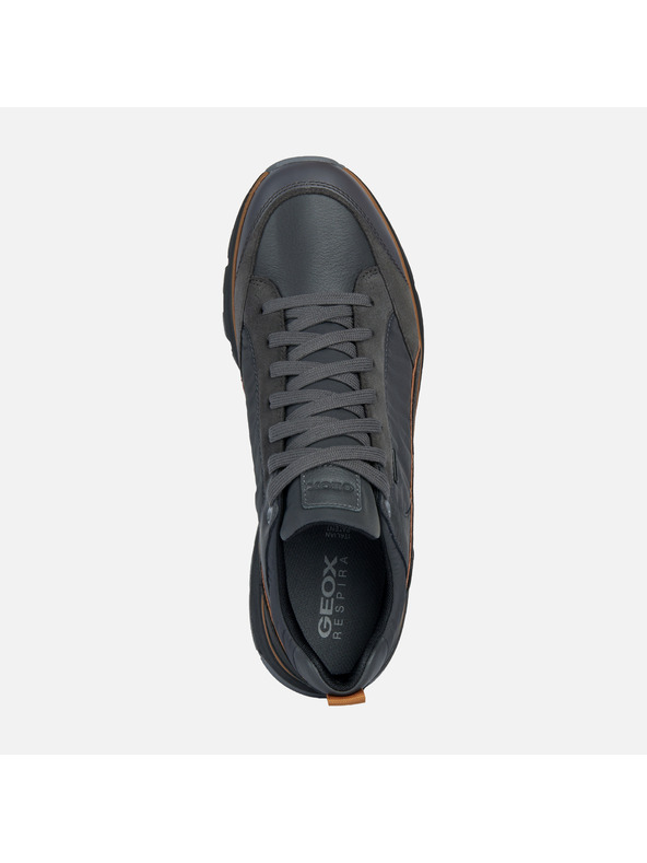 Geox Graue Herren-Sneaker Geox Dolomia B ABX