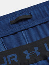 Under Armour Herren Under Armour UA Vanish Woven 6in Shorts