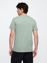 GAP T-Shirt GAP logo v-ss camo arch