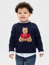 GAP Baby Pullover GAP