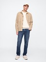GAP Herren Jeans straight GAP