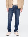 GAP Herren Jeans straight GAP
