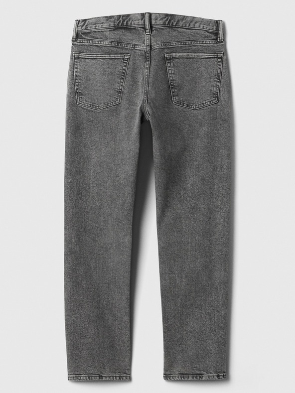 GAP Jeans GapFlex Straight GAP