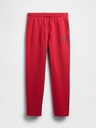 GAP Herren Sweatpants mit Fleece und Logo GAP