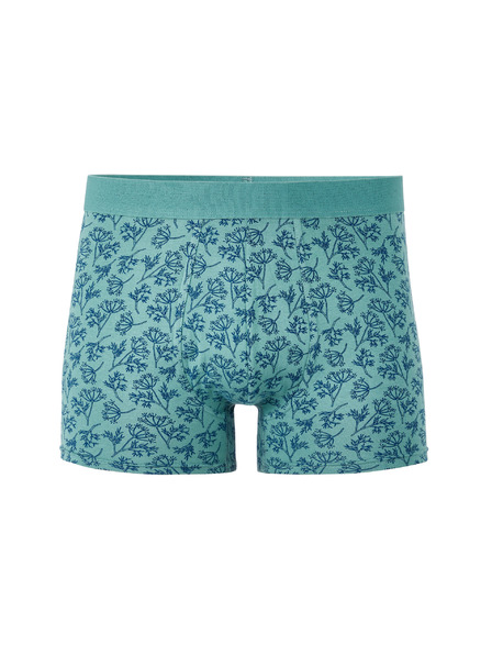 Celio Boxershorts Libofloral
