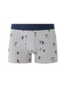 Celio Boxershorts Miboski