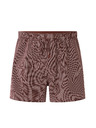 Celio Boxershorts Miwocheck