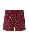 Celio Boxershorts Miwoshoes