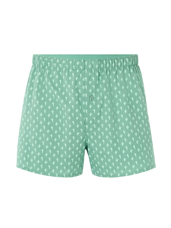 Celio Boxershorts Liwocactus