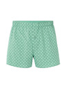 Celio Boxershorts Liwocactus