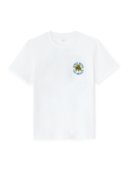 Celio T-Shirt Mexpalmi