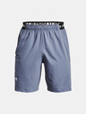 Under Armour Herren Under Armour UA Vanish Woven 8in Shorts