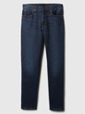 GAP Jeans GapFlex Straight GAP