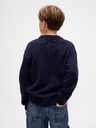 GAP Kinder Pullover Brannan Bear GAP