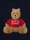 GAP Kinder Pullover Brannan Bear GAP