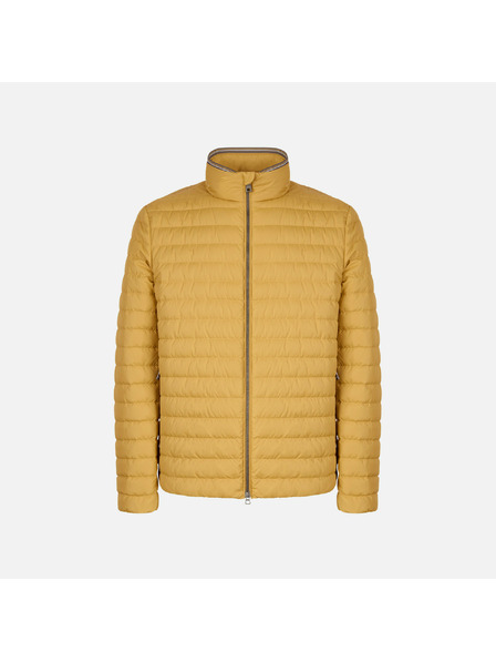 Geox Gelbe Herren-Daunenjacke Geox Warrens