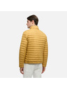 Geox Gelbe Herren-Daunenjacke Geox Warrens