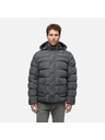 Geox Graue Herren-Daunenjacke Geox Leitan