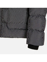 Geox Graue Herren-Daunenjacke Geox Leitan