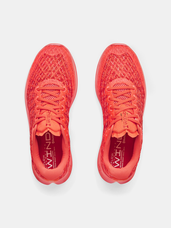 Under Armour Herren Schuhe Under Armour FLOW Velociti Wind