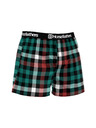 Horsefeathers Boxershorts Clay - alhambra