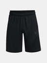 Under Armour Herren Shorts Under Armour UA BASELINE 10'' SHORT