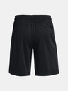 Under Armour Herren Shorts Under Armour UA BASELINE 10'' SHORT