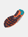 Under Armour Herren Schuhe Under Armour UA HOVR Infinite 5