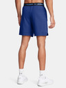 Under Armour Herren Under Armour UA Vanish Woven 6in Shorts