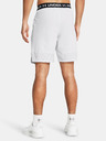 Under Armour Herren Under Armour UA Vanish Woven 8in Shorts