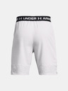 Under Armour Herren Under Armour UA Vanish Woven 8in Shorts