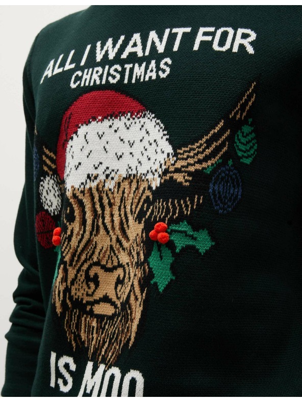 Marks & Spencer Weihnachtspullover aus reiner Baumwolle mit Rundhalsausschnitt Marks & Spencer grün