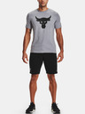 Under Armour Herren-Shorts Under Armour Project Rock Terry Shorts
