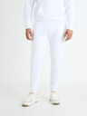 Celio Fojoggie Jogginghose