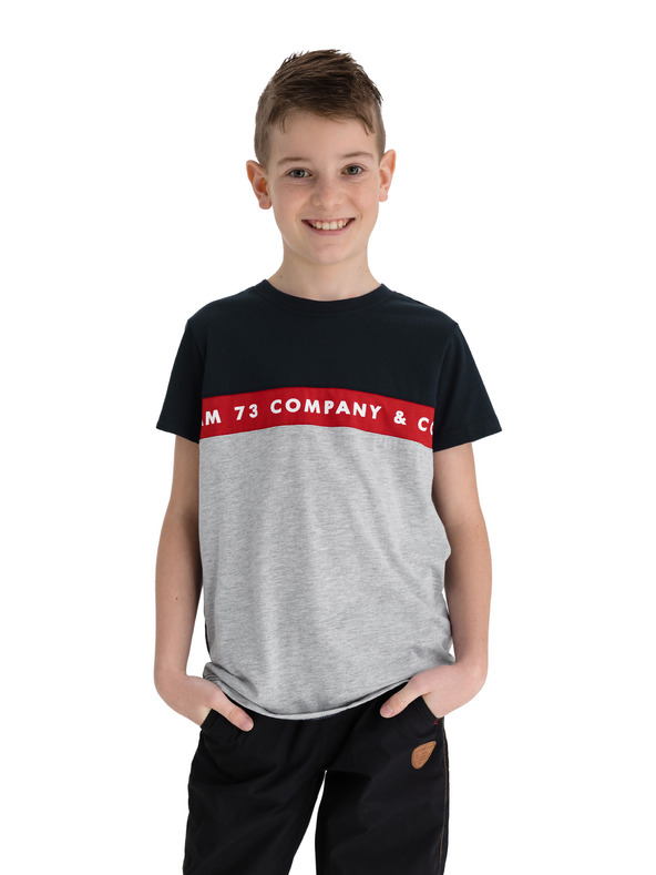 Sam 73 Graues und blaues Jungen-T-Shirt mit SAM 73