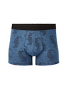 Celio Boxershorts Jibodrag Celio