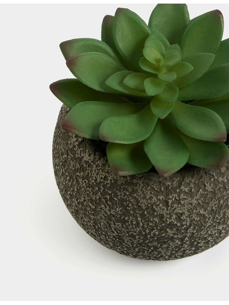 Marks & Spencer Künstlicher Mini-Sukkulenten im Beton-Topf Marks & Spencer grün