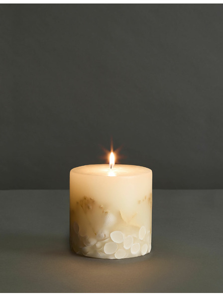 Marks & Spencer Muschel-Duftkerze Marks & Spencer mehrfarbig