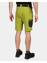 Kilpi Kilpi NAVIA-M Herren Shorts Grün