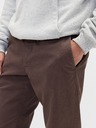 GAP Herren-Hose Straight Fit GapFlex GAP